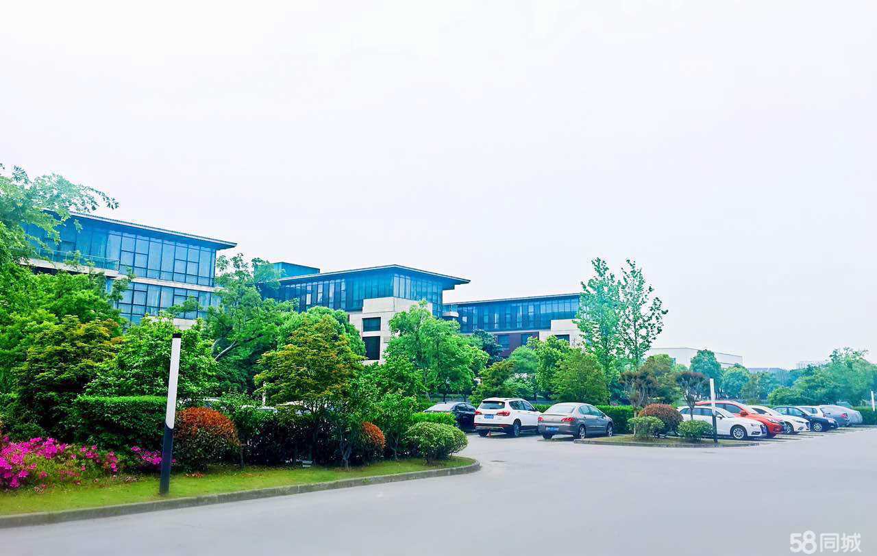 上海一日团建新地标:乐活营地全攻略(图1)